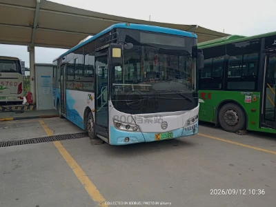 鄂C 11516D