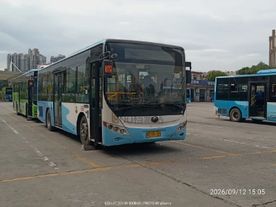 鄂C 99103