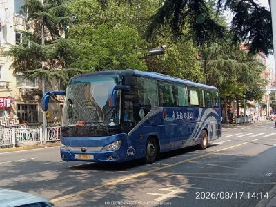 鲁B 00061