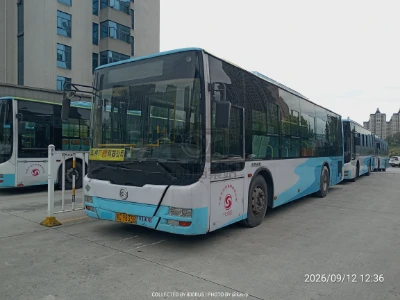 鄂C 98338