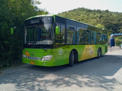 鄂C LY799