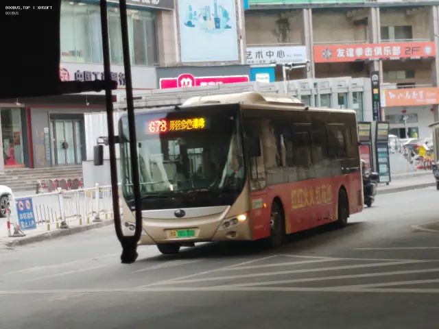 800BUS