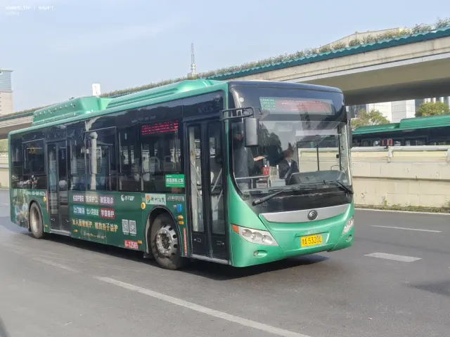 800BUS