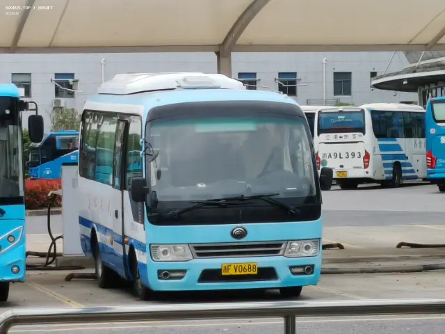 800BUS