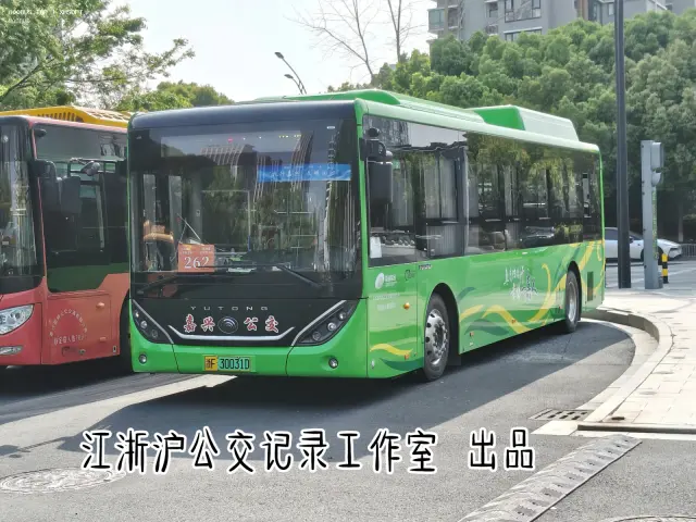 800BUS