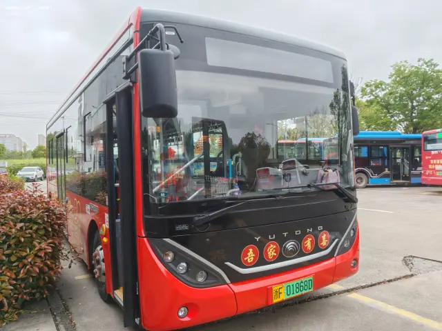 800BUS