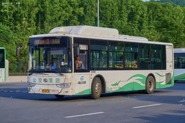 800BUS