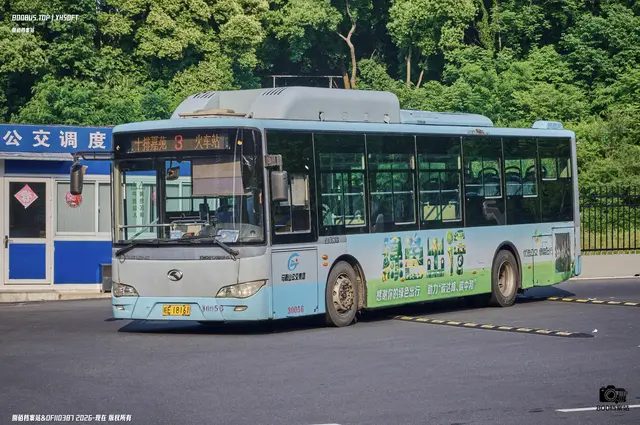 皖E 18161