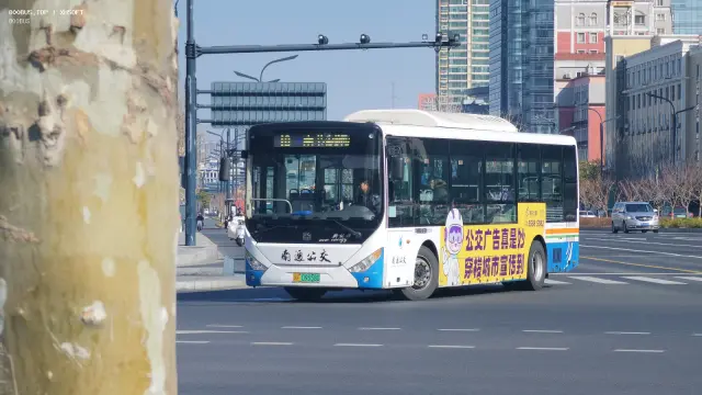 苏F 09558D