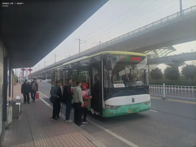 800BUS