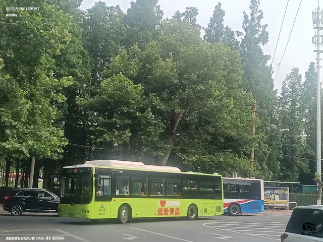 鲁B 06654D