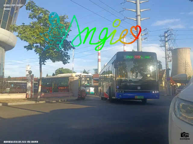 鲁B 17820D