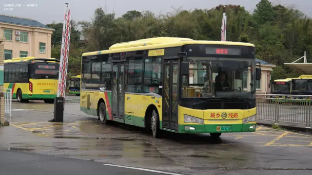 闽B07377D