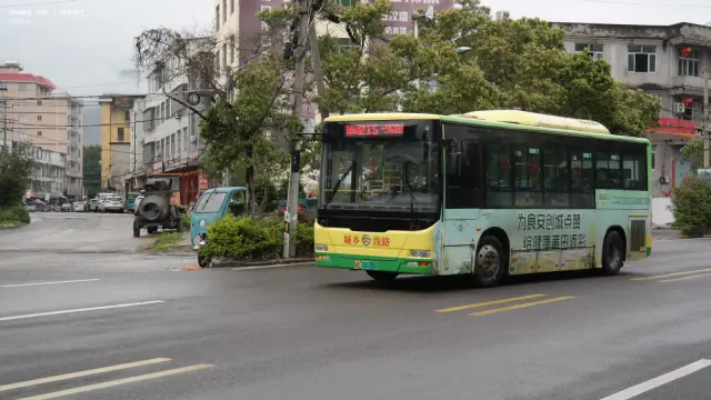 闽B08598D
