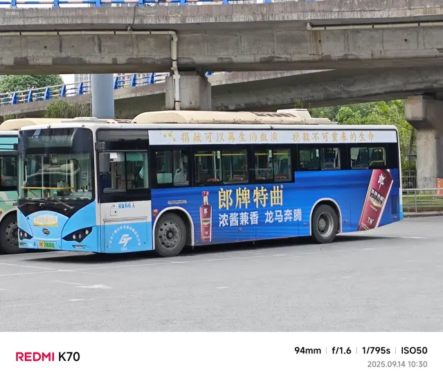 800BUS