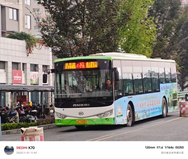 800BUS