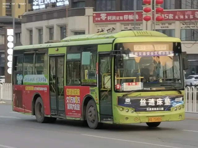 800BUS