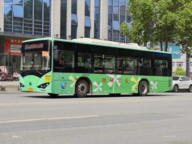 800BUS