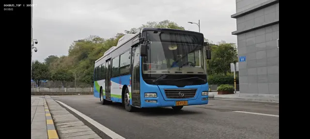 800BUS