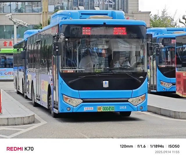 800BUS