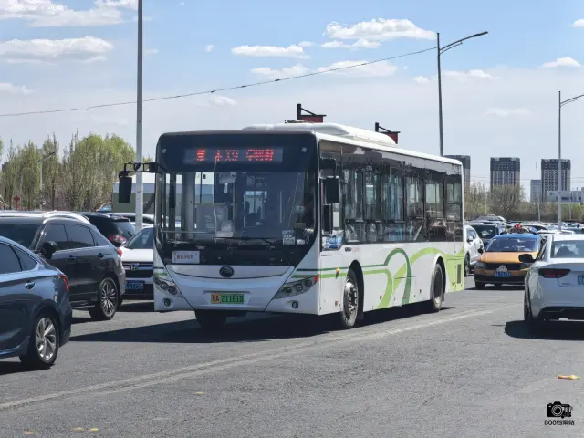 800BUS