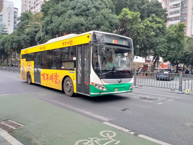 800BUS