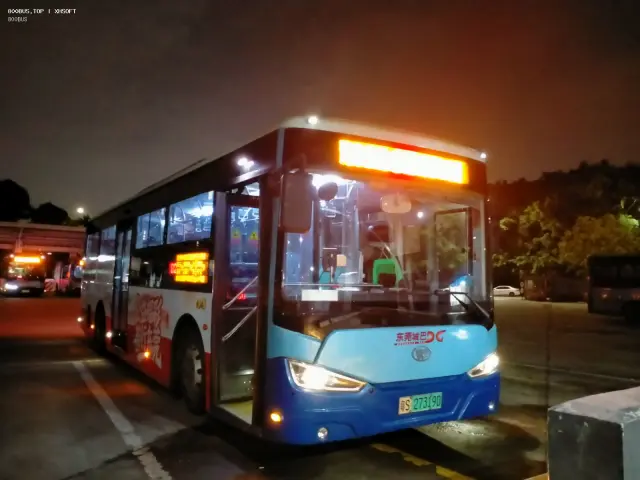 800BUS