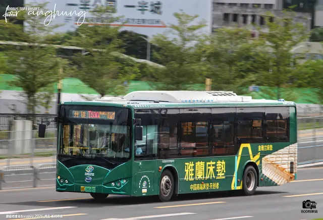 800BUS