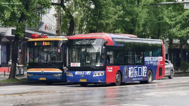 桂C 29136&桂C 35720