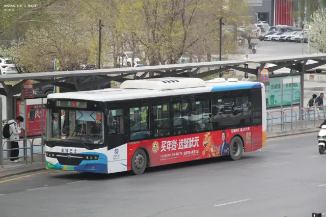 辽A 00890D
