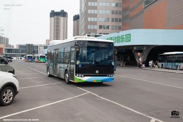 辽A 09639D
