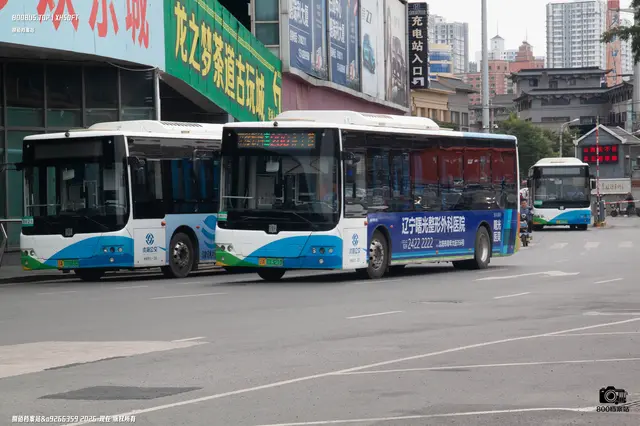 辽A 01321D
