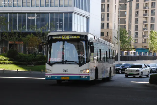 800BUS