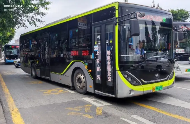 800BUS