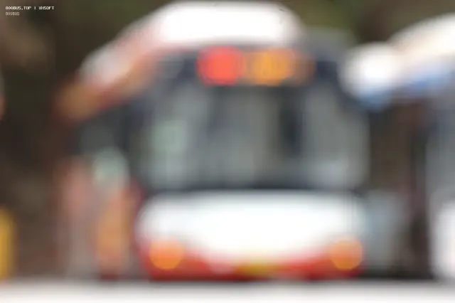 800BUS