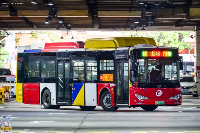 粤A 30621D