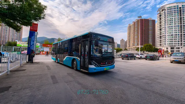 800BUS