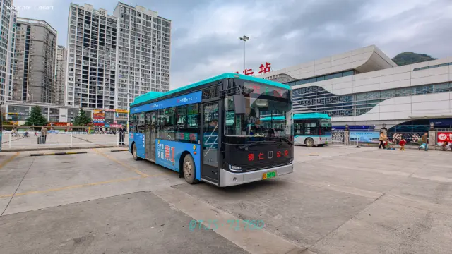 800BUS