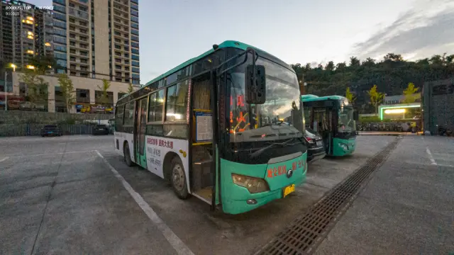 800BUS