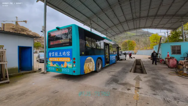 800BUS