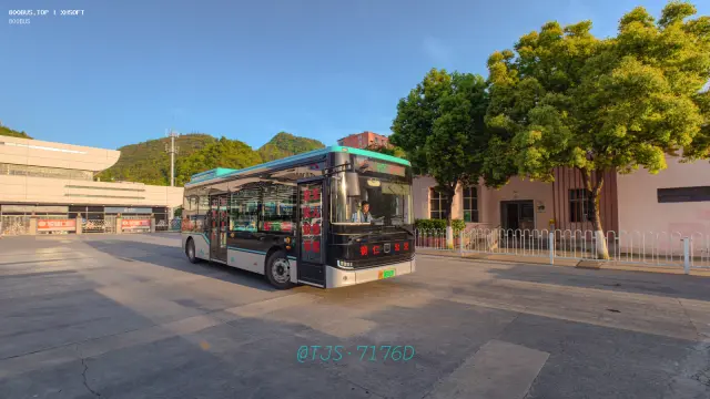 800BUS