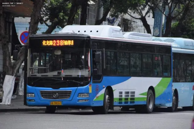 渝A 78267