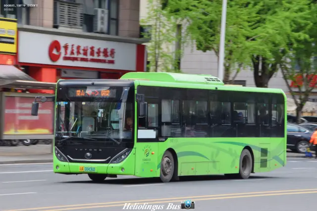 渝A 04836D/03-009