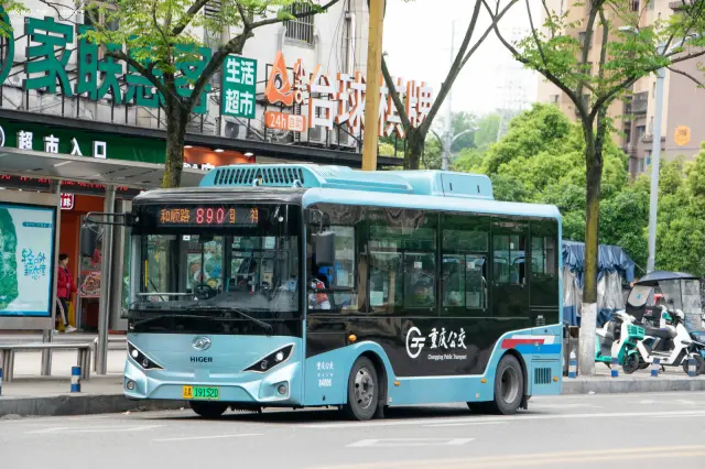 渝A 19152D
