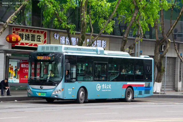 800BUS