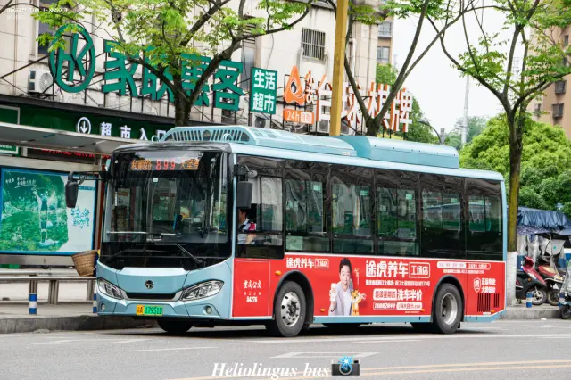 800BUS
