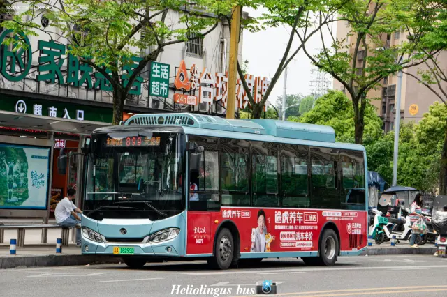 渝A 16295D