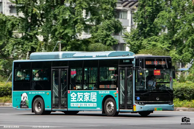 800BUS