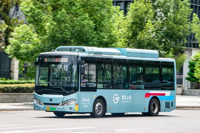 800BUS