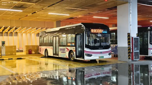 沪A G9123D